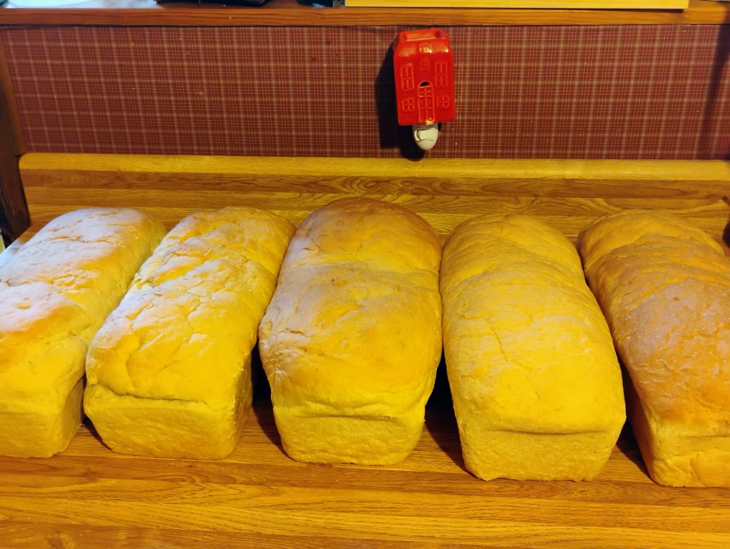 Sourdough Sandwich Loaf Bread